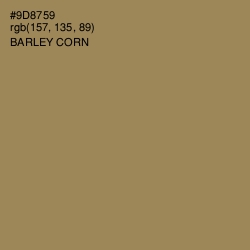 #9D8759 - Barley Corn Color Image